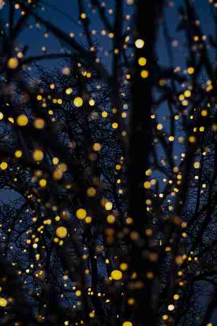 【最新大赛内容】飓风级内容生态追溯 - 云端体验,飓风赛是什么