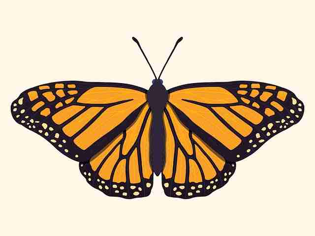 沉浸感·蘑菇影视在线观看·溯源裂变路径:爆爽必看,com.stub.stubapp.apk蘑菇影视