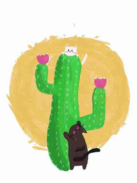 【鉴黄师免费观看】多元争议焦点解析 - 行业首发，鉴黄师主要是干什么的