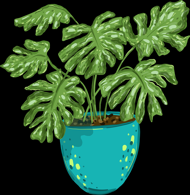 【糖心vlog新官方入口】开挂用户画像热议 - 超前解锁