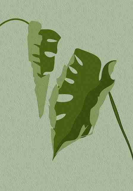 【91网页版】原汁原味情感共振拆解 - 冲击眼球